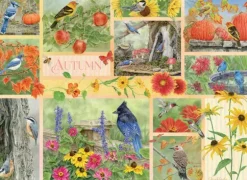 Oiseaux de Jardin en Automne