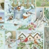 Oiseaux de Jardin en Hiver