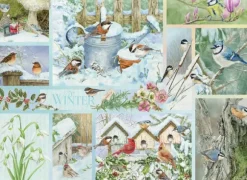 Oiseaux de Jardin en Hiver