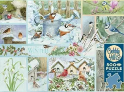 Oiseaux de Jardin en Hiver