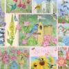 Oiseaux de Jardin en Été