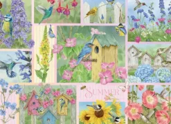 Oiseaux de Jardin en Été