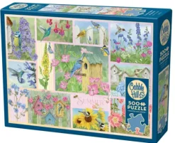 Oiseaux de Jardin en Été