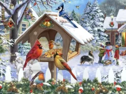 Oiseaux de Noël