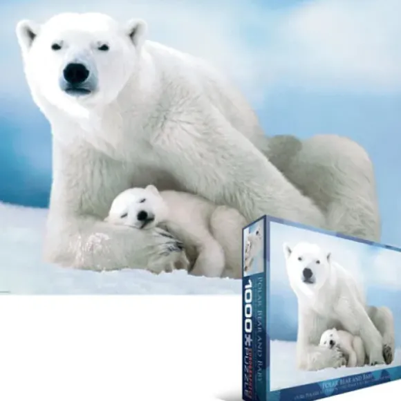 Ours Polaire et son ourson