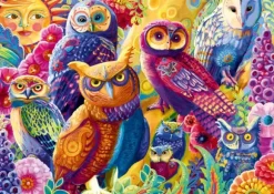 Owl Autonomy
