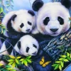 Panda Family
