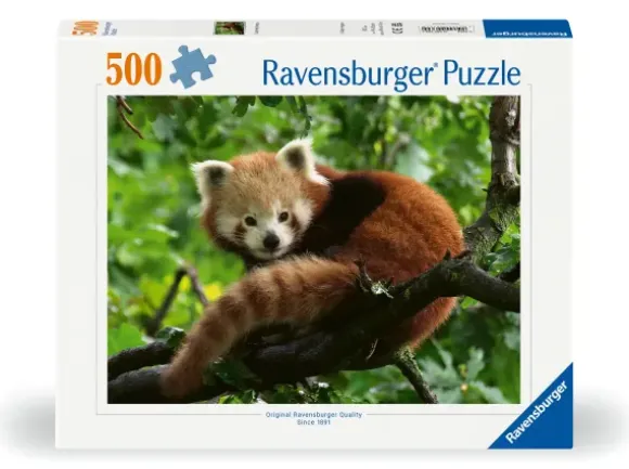 Panda Roux