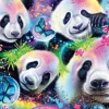 Pandas Fluo