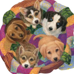 Panier de Chiots