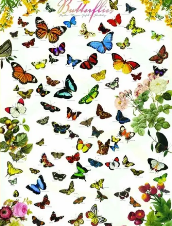Papillons