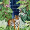 Parkin Bex - Tigre des Serres