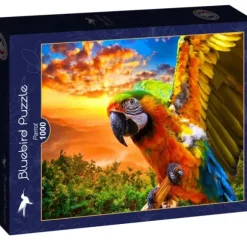 Parrot