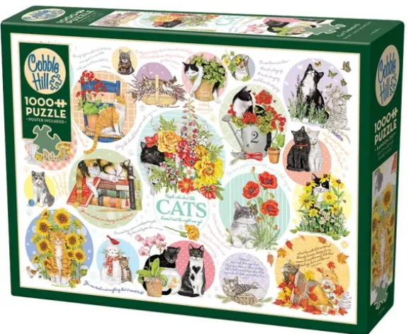 Pensées de Chat