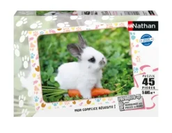 Petit Lapin et sa Carotte