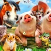 Petting Farm