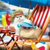 Pièces XXL - Beach Cats