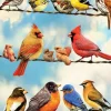 Pièces XXL - Birds on a Wire