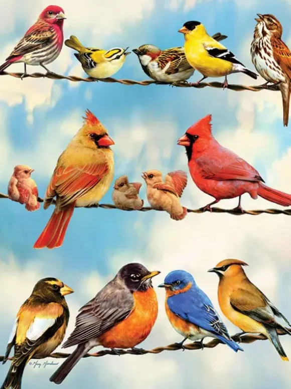 Pièces XXL - Birds on a Wire