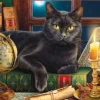 Pièces XXL - Black Cat by Candlelight