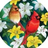 Pièces XXL - Cardinals in the Round