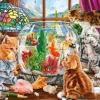 Pièces XXL - Chatons et Aquarium