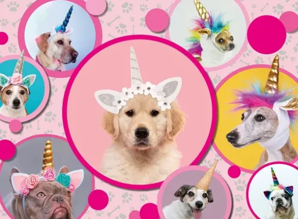 Pièces XXL - Chiens Licornes