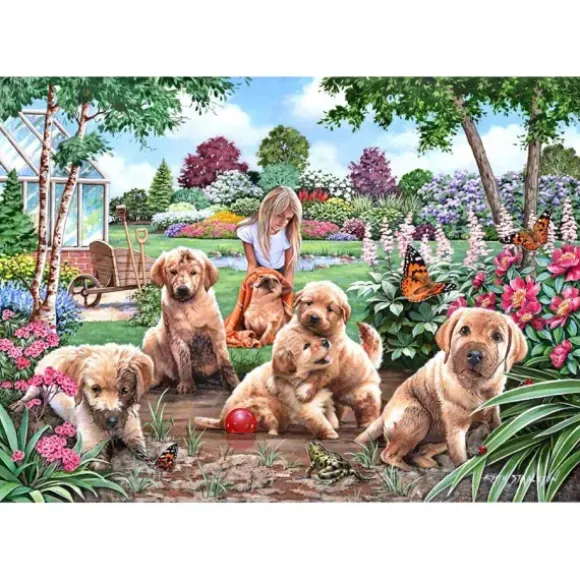 Pièces XXL - Chiots Boueux