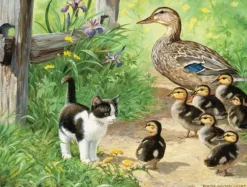 Pièces XXL - Duck Inspector
