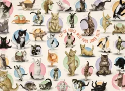 Pièces XXL - Familiy Puzzle: Yoga Kittens