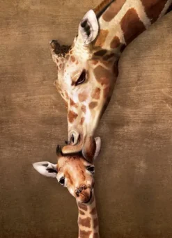 Pièces XXL - Giraffe Mother's Kiss
