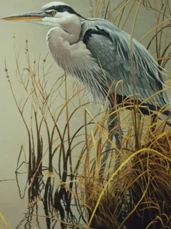 Pièces XXL - Great Blue Heron