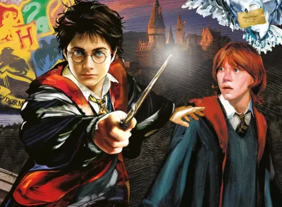 Pièces XXL - Harry Potter et Ron