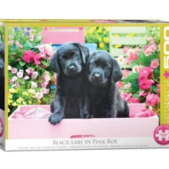 Pièces XXL - Labradors Noirs dans une Boîte Rose