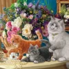 Pièces XXL - Le Tableau des Chatons
