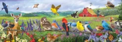 Pièces XXL - Oiseaux de l'Est