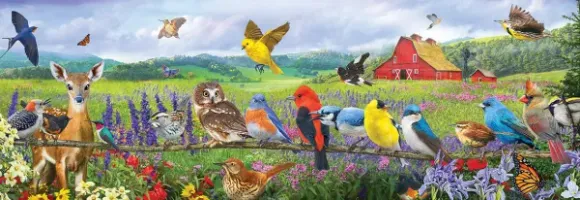 Pièces XXL - Oiseaux de l'Est