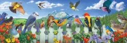 Pièces XXL - Oiseaux de l'Ouest