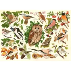 Pièces XXL - Oiseaux Des Bois