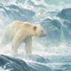 Pièces XXL - Salmon Watch - Spirit Bear