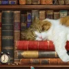 Pièces XXL - The Cat Nap