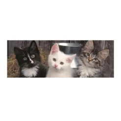 Pièces XXL - Trois Chatons