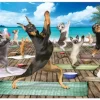 Pièces XXL - Yoga Spa
