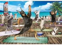 Pièces XXL - Yoga Spa