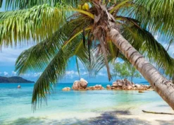 Plage Tropicale