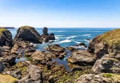 Pointe des Poulains, Bretagne, France