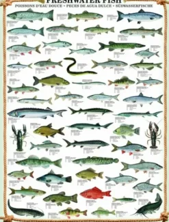 Poissons d'eau douce