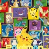 Pokémon Lumineux