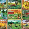 Postcards from the Farm