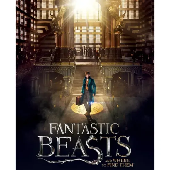 Poster Puzzle - Fantastic Beasts - Macusa